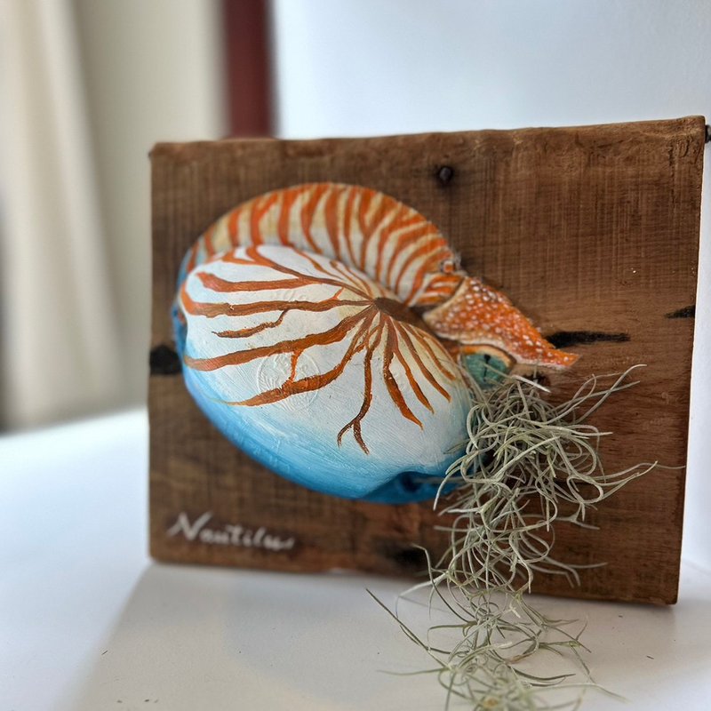 海废浮球空气凤梨植栽-头足类 - 植栽/盆栽 - 塑料 