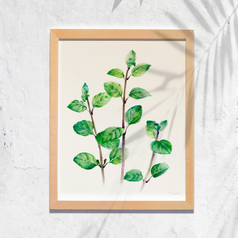 KITCHEN GARDEN 厨房餐厅挂画 植物水彩复制画 牛至装饰画 - 海报/装饰画/版画 - 纸 多色