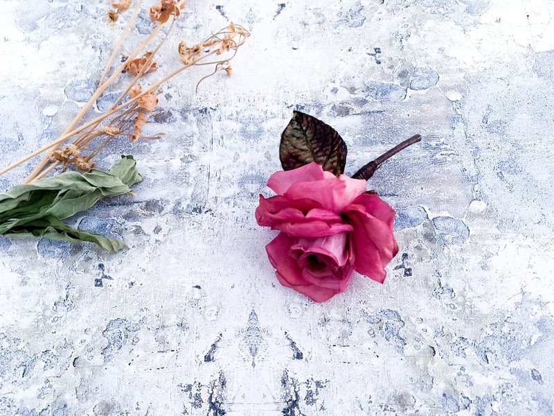 Roses at the time of Corsage. (c) - 胸针 - 聚酯纤维 紫色