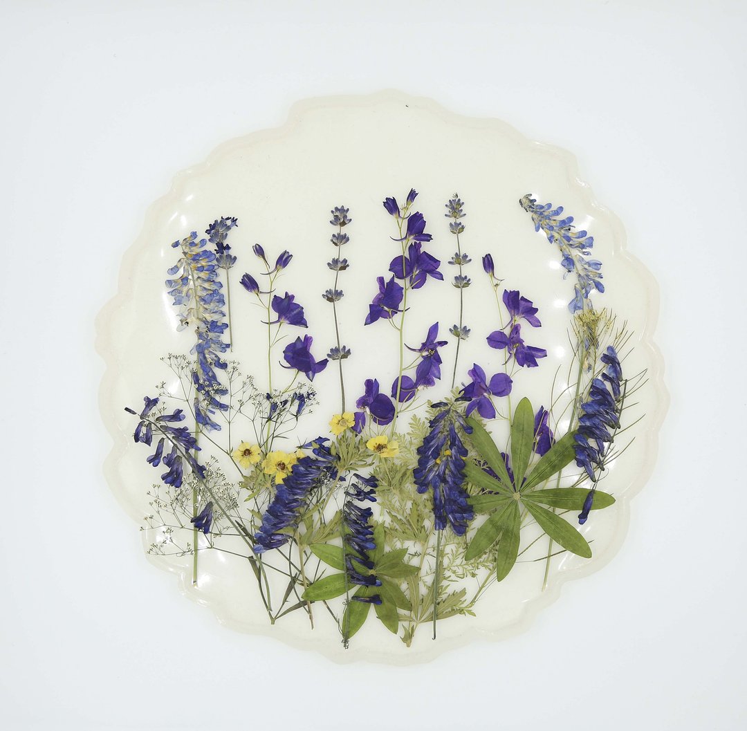 dried pressed flowers for creativity - 植栽 - 植物．花 多色