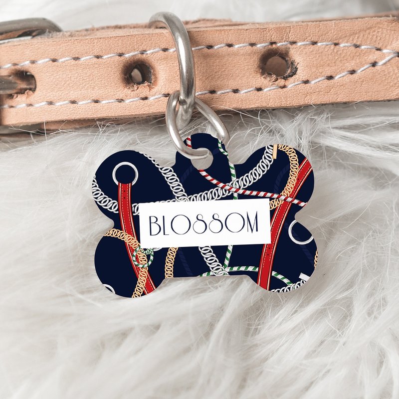定制化宠物识别牌 - 中英文双面订制 - 绳子编织/宠物时尚配件 - 订制抱枕/饰品 - 其他金属 蓝色