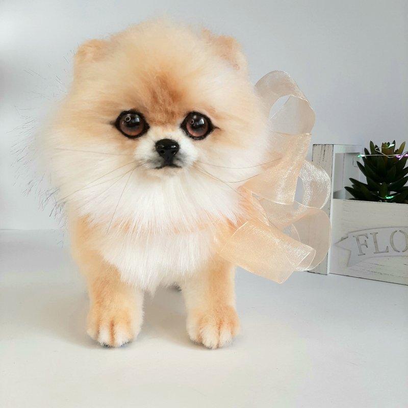 已售。正在订购。博美犬。玩具 - 玩偶/公仔 - 其他材质 咖啡色