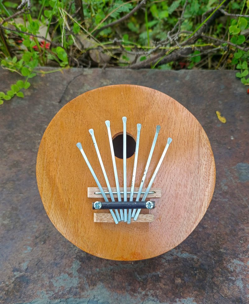 拇指琴&天然椰壳 - 吉他/乐器 - 植物．花 