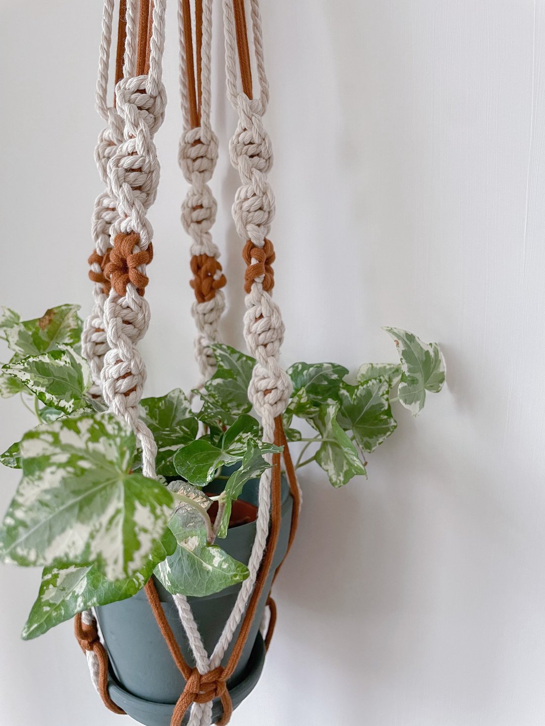 快闪恒春Macrame 编绳体验 编织植物吊篮 含盆器 - 编织/羊毛毡/布艺 - 棉 