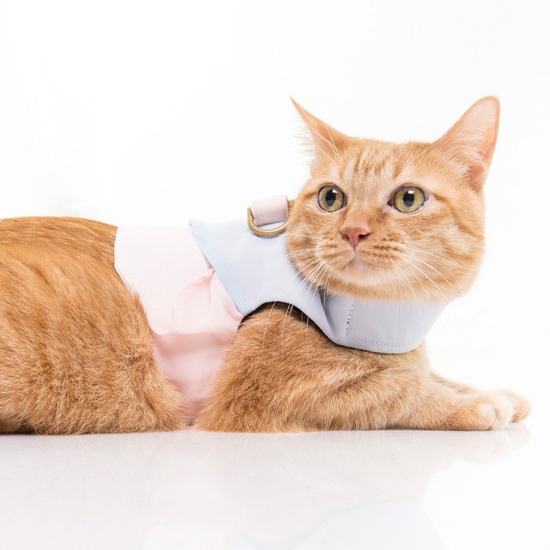 胸背衣+拉绳组 启动冒险水母先生 蓝粉雪纺材质 XS/S/M (XS完售) - 衣/帽 - 棉．麻 