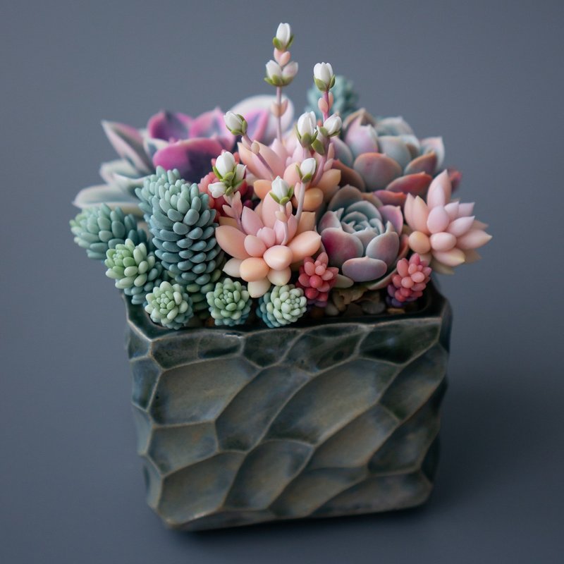 大型珠宝收纳盒，饰有彩虹石莲与赵氏十二卷 - 收纳用品 - 其他材质 