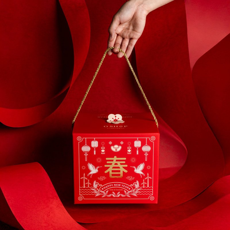 2025 蛇年限量礼盒 福迎春礼 财神报喜 - 零食/点心 - 新鲜食材 