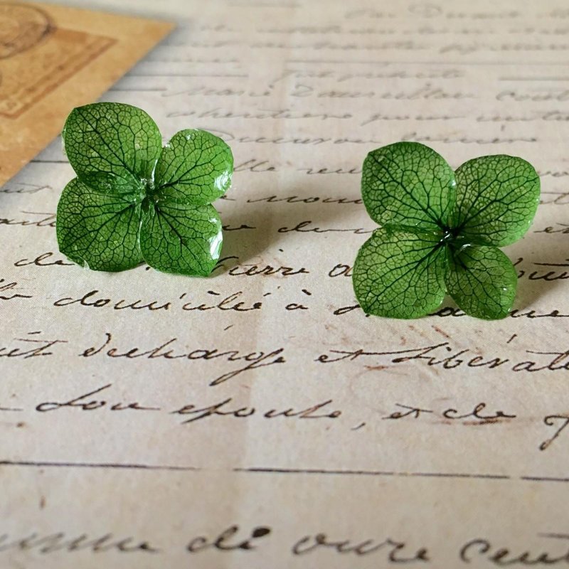 Hydrangea hydrangea / pierced ears - 耳环/耳夹 - 植物．花 绿色