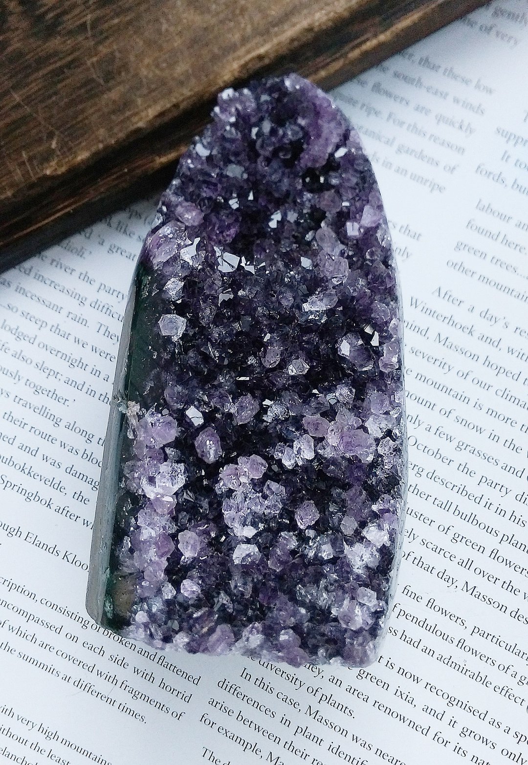 Amethyst  乌拉圭产地 原皮紫水晶  紫水晶晶镇 天然矿石 原矿 - 摆饰 - 其他材质 