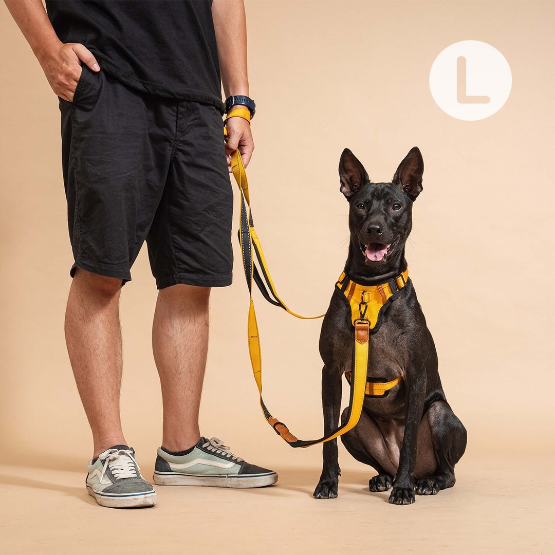 Pawfect-Fit! Pet Leash 机能宠物牵绳(L) - 项圈/牵绳 - 尼龙 