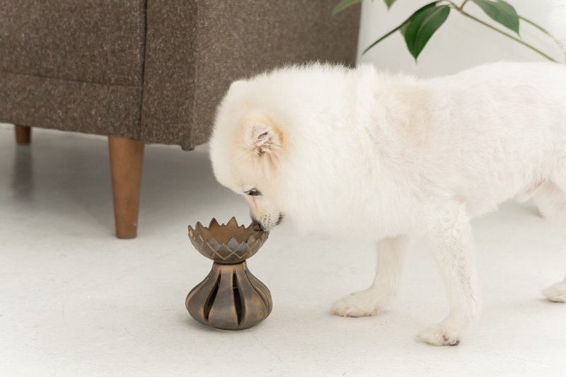 Golden Tulip pet bowl, Cat bowl,Dog bowl,Puppies bowl,Food bowl - 碗/碗架 - 陶 金色