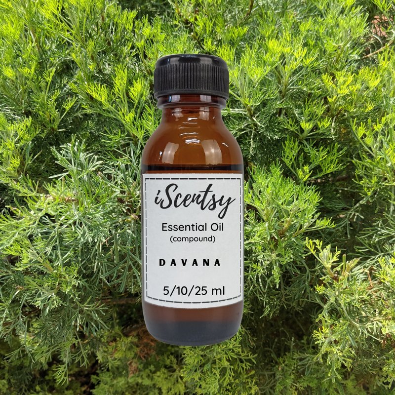 Thai Pure & Natural Essential Oil: Davana Essential Oil 100% - 香薰/精油/线香 - 其他材质 