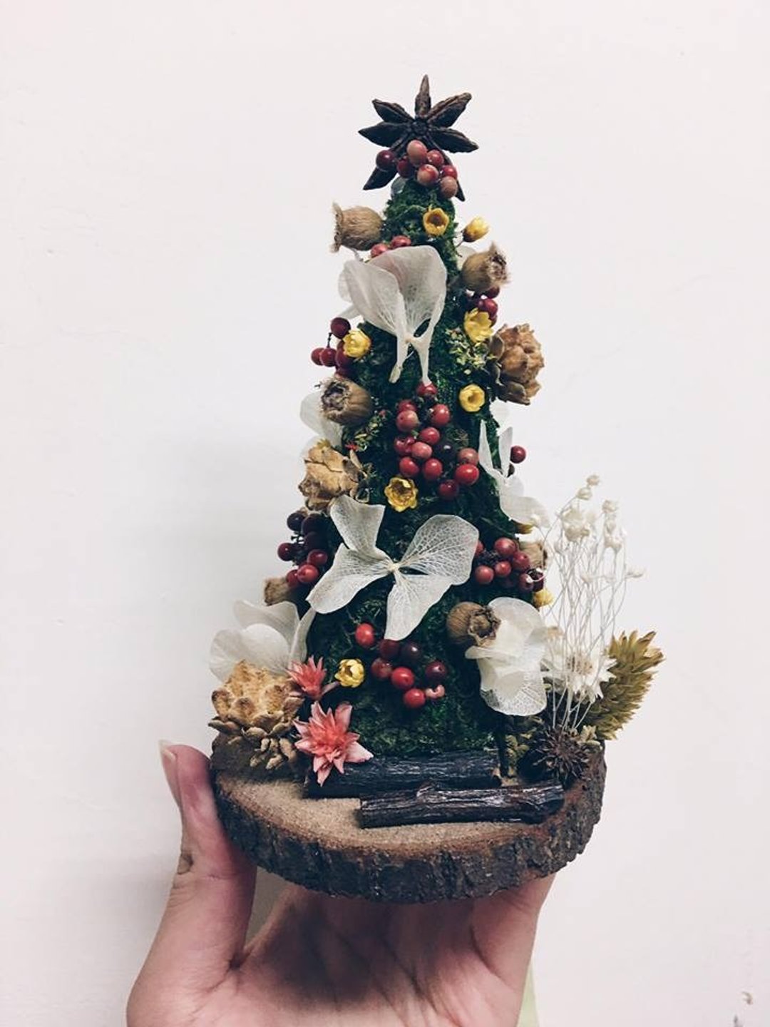 Sapin de Noël----圣诞树No.1 - 植栽/盆栽 - 植物．花 