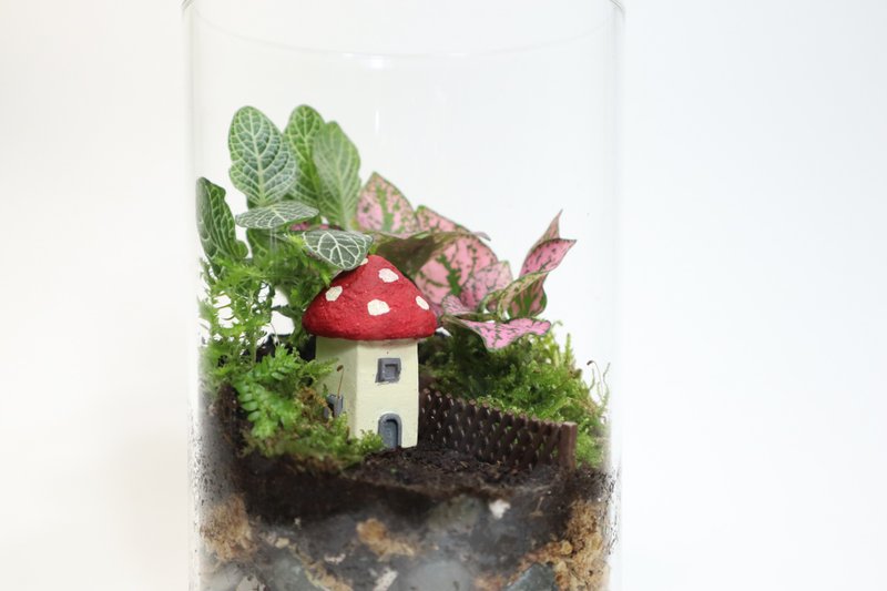 【微景观】蘑法村 - 森林小屋/隐居山林/室内植物/生日礼物 - 植栽/盆栽 - 玻璃 绿色
