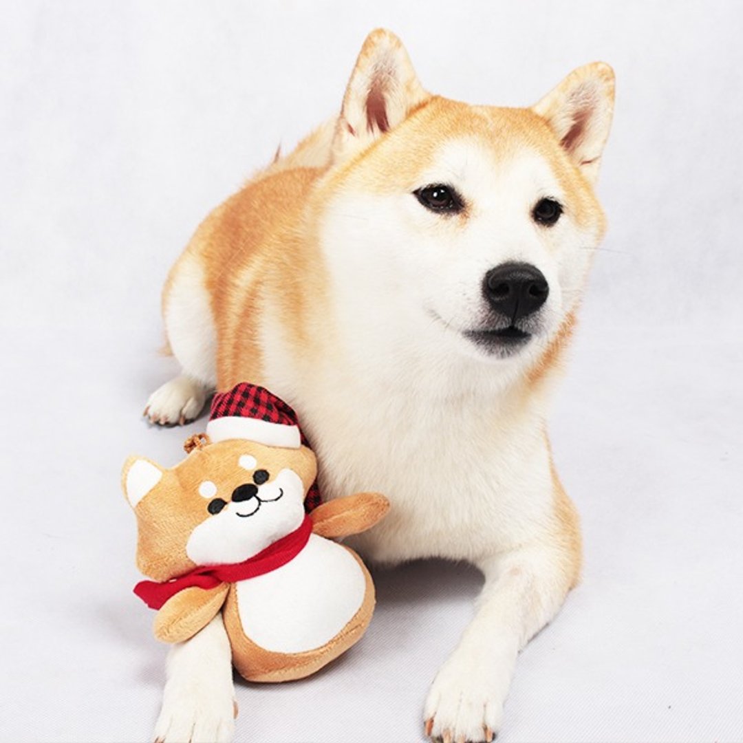 SHIBAINC 柴犬 圣诞 公仔 - 玩偶/公仔 - 其他材质 