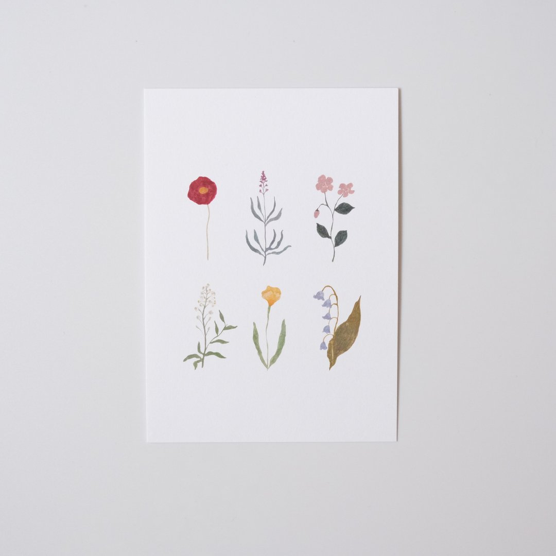 Brighton Botanicals 小花明信片 - 卡片/明信片 - 纸 