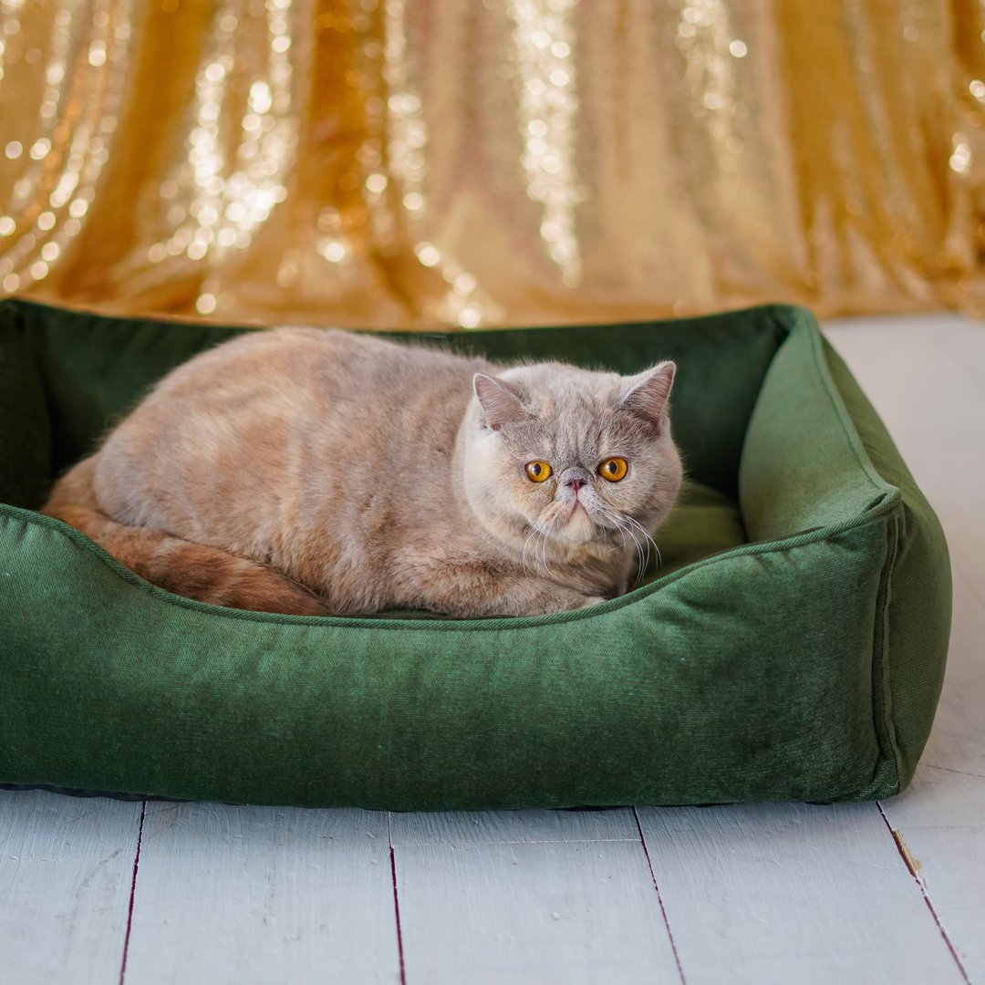Cat bed Green Velvet with removable cover M Size 70 x 50 cm - 床垫/笼子 - 其他材质 绿色