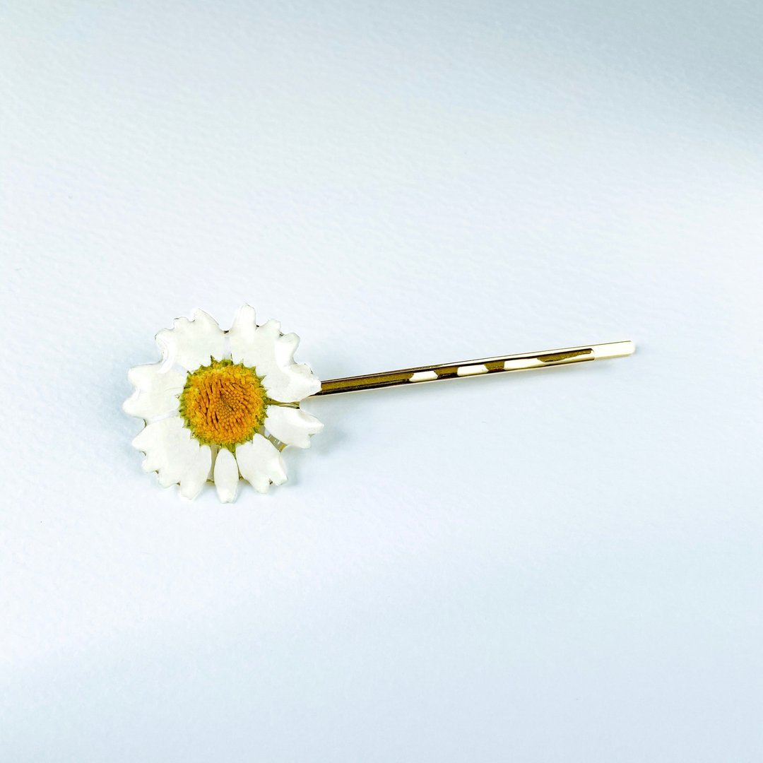 真花│白色雏菊发夹【Sunshine of the DAISY】Akebono - 发饰 - 植物．花 白色