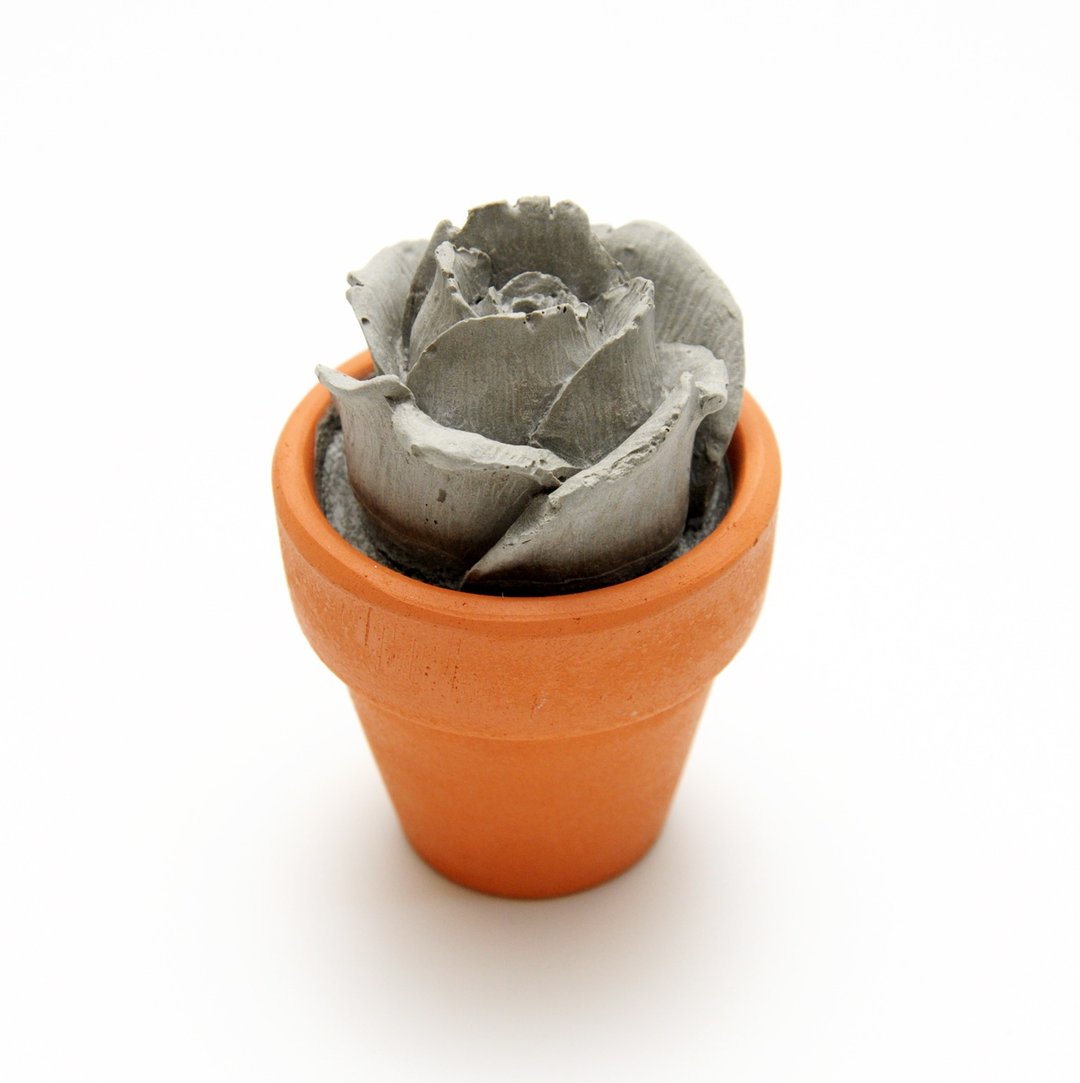 水泥玫瑰花迷你盆栽 - 永恒系列 - 植栽/盆栽 - 水泥 灰色