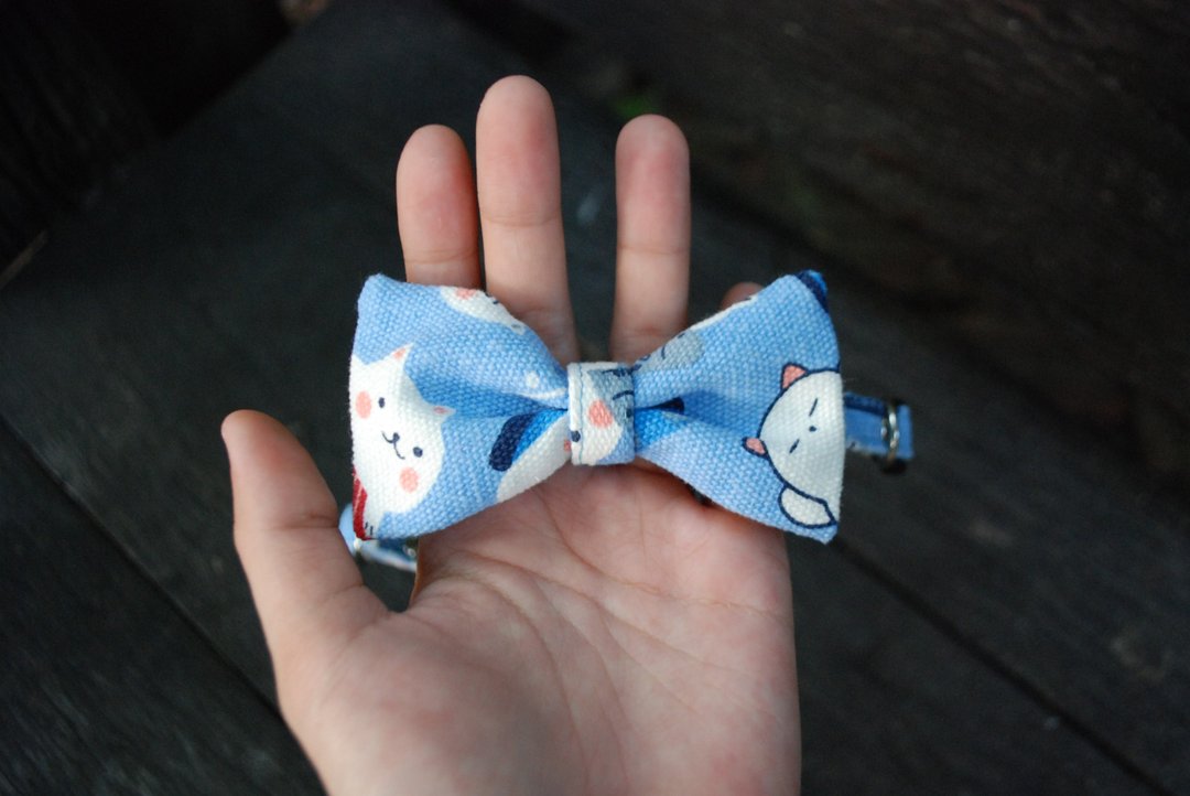 A-NI Collar for cats and dogs, spring rolls (bow) - 项圈/牵绳 - 其他材质 蓝色