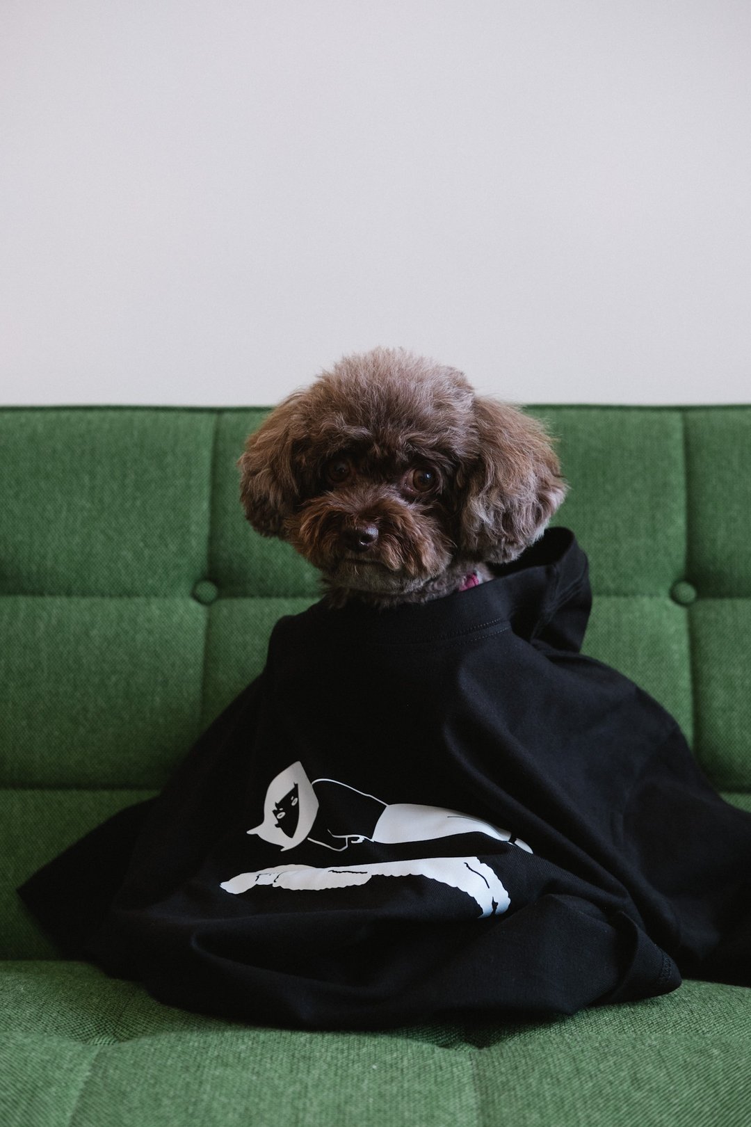 Day Off with My Dog / 与小狗一起耍废 Tee - 中性连帽卫衣/T 恤 - 棉 黑色
