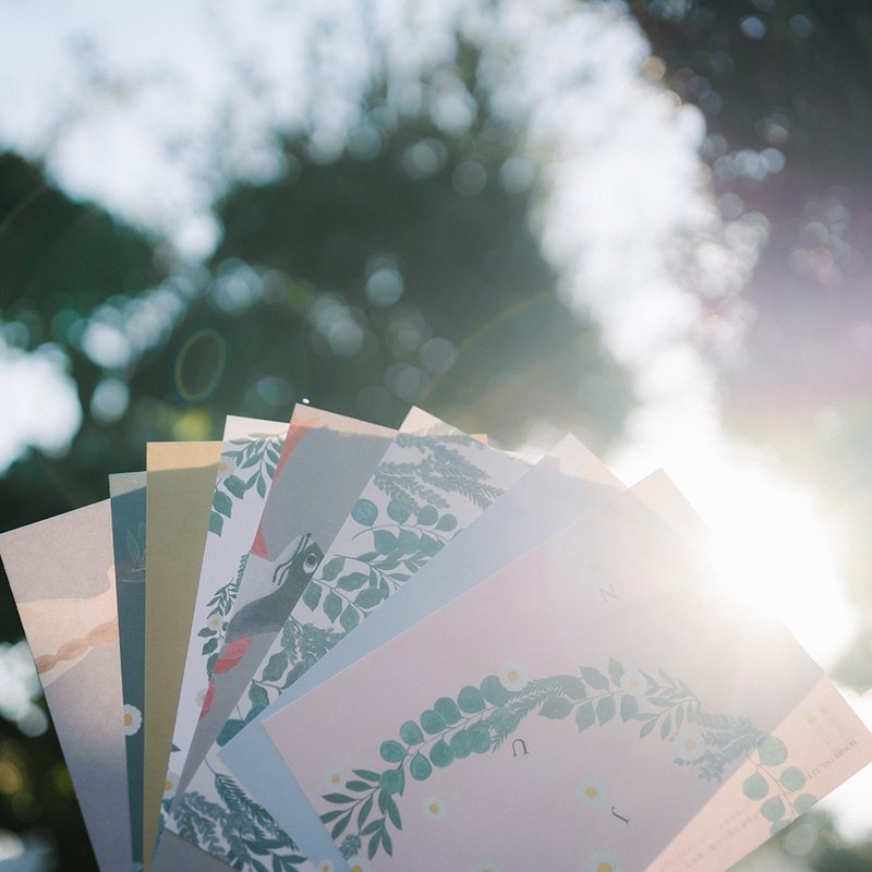 【24 小时出货】净化与新生 (自选礼盒外观) 送礼 - 肥皂/手工皂 - 纸 咖啡色