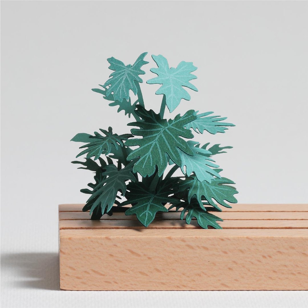 【立体植物贴纸】仙羽蔓绿绒 (605026) FingerART纸雕纸艺术 - 贴纸 - 纸 绿色
