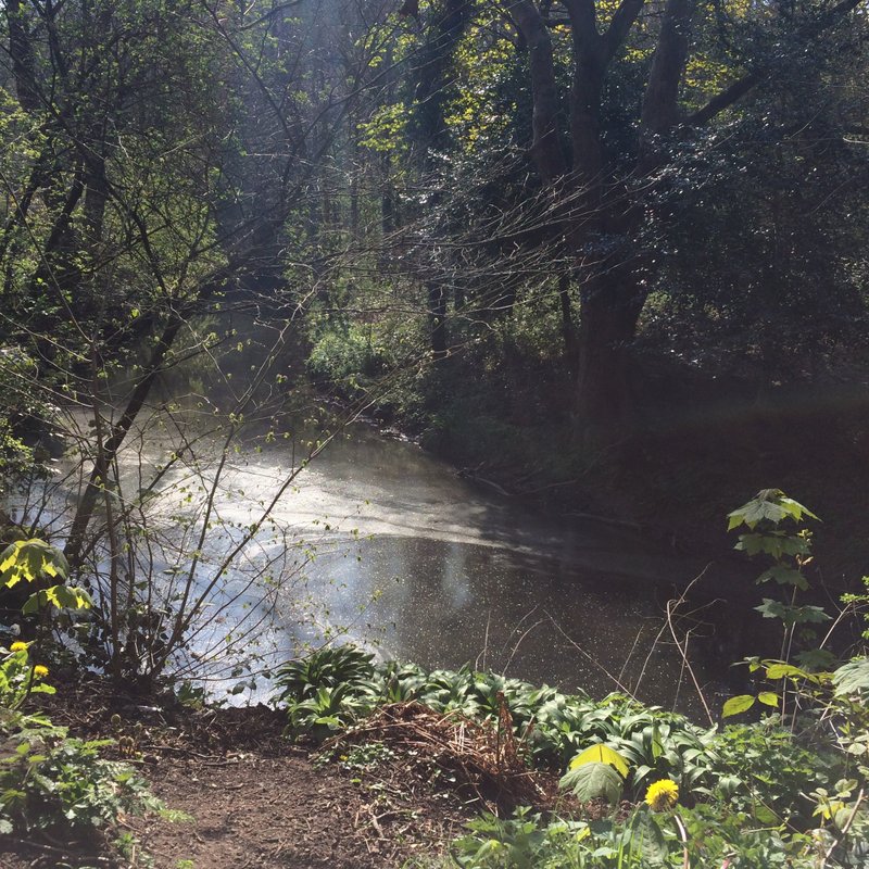美丽的溪流│jesmond dene│英国制作│可自行裱褙│原作出清 - 海报/装饰画/版画 - 纸 绿色