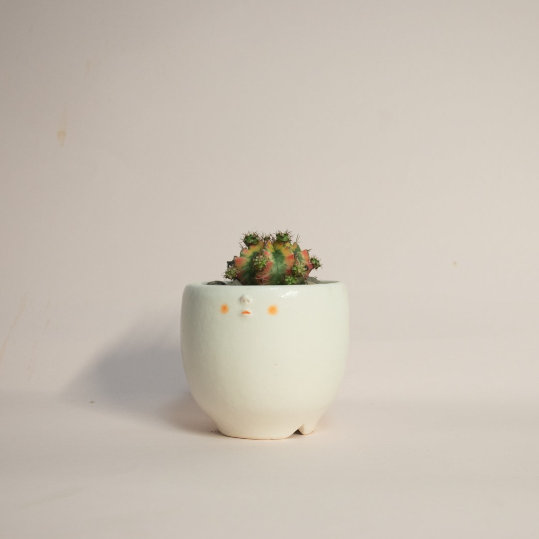 YUME陶瓷盆 - 植栽/盆栽 - 瓷 