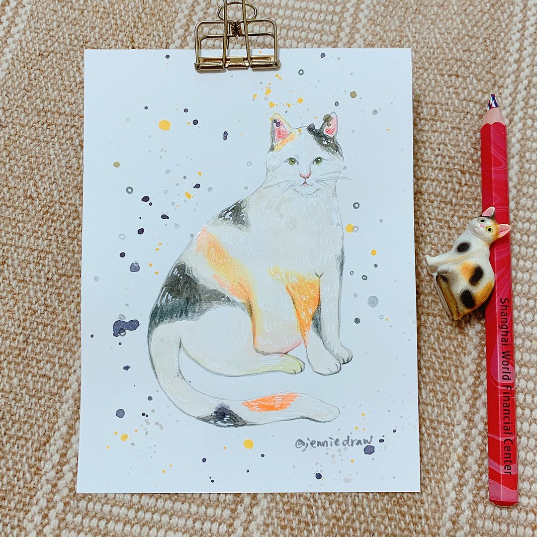 不定期创作肥猫/现货款/手绘原稿/宠物插画/可加字/关注IG送像框 - 喜帖 - 纸 多色