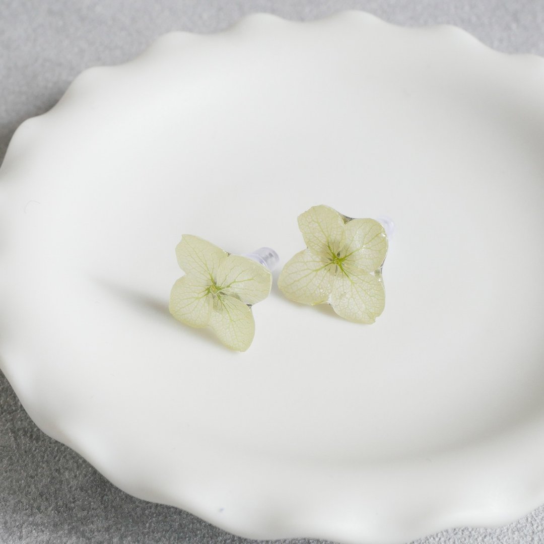 Real hydrangea flower earrings - 耳环/耳夹 - 树脂 绿色