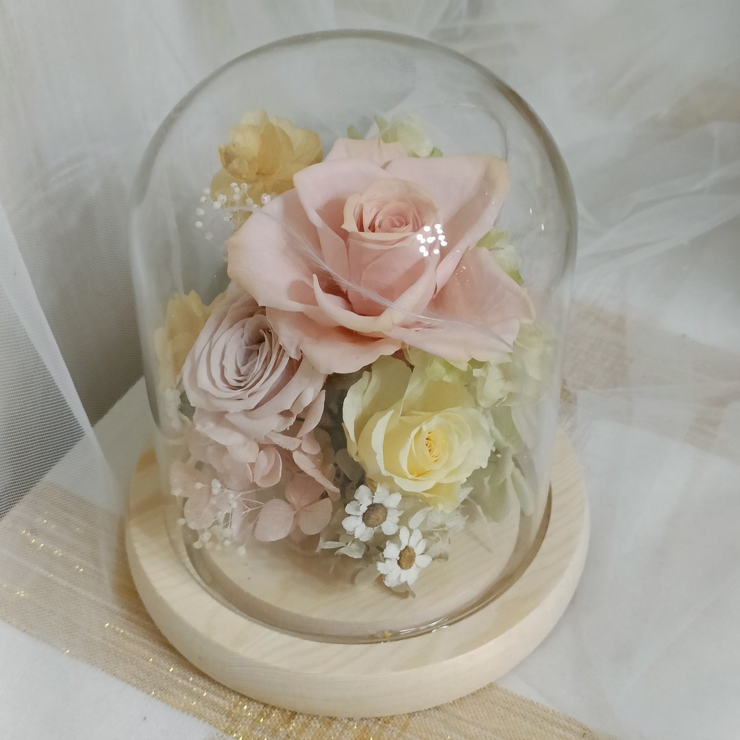 清新绿橙玻璃盅罩永生花结婚捧花永生干燥花毕业谢师礼物生日毕业 - 干燥花/捧花 - 植物．花 橘色