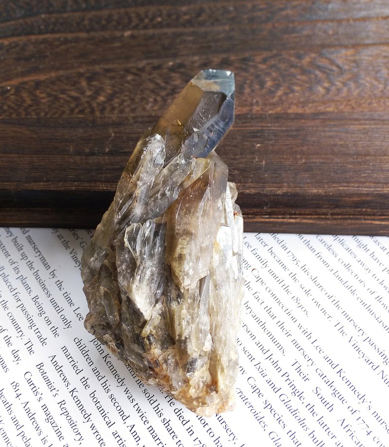 Smoky Quartz 巴西产地  烟水晶 茶晶 晶簇 天然矿石 原矿 - 摆饰 - 其他材质 