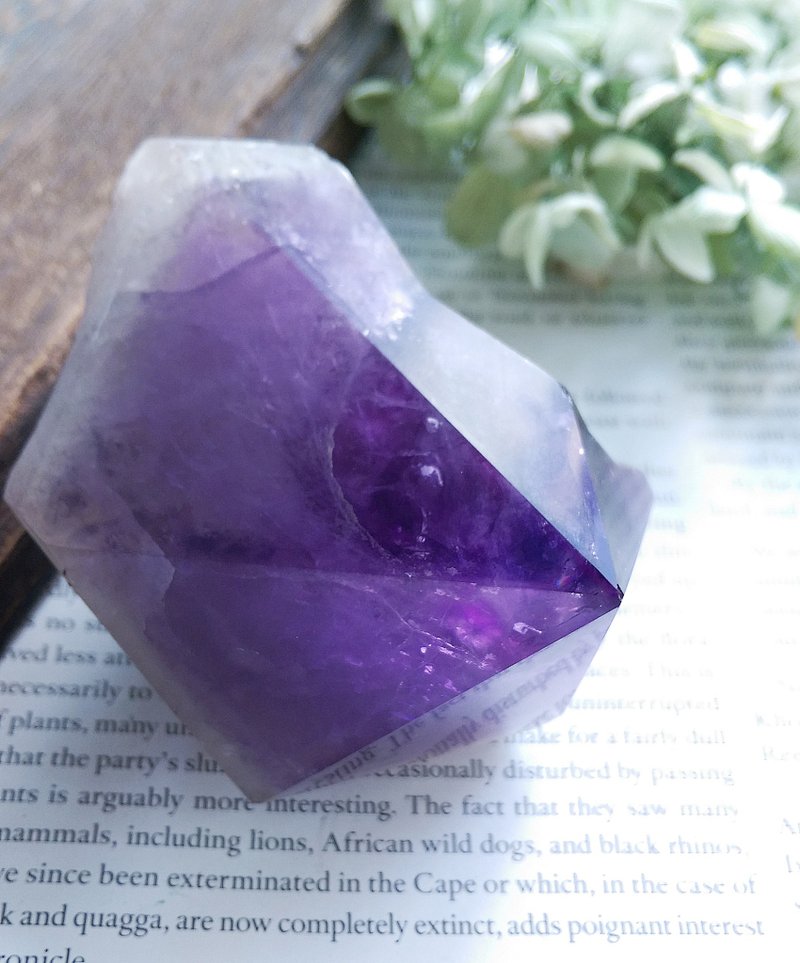 Amethyst 玻利维亚产地 大牙紫水晶 天然矿石 原矿 - 摆饰 - 其他材质 