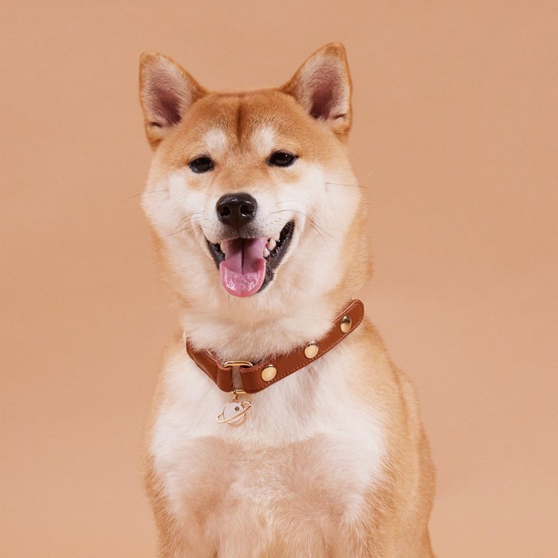 【Pawlaneta】Soil宠物项圈-编织款 - 项圈/牵绳 - 棉．麻 