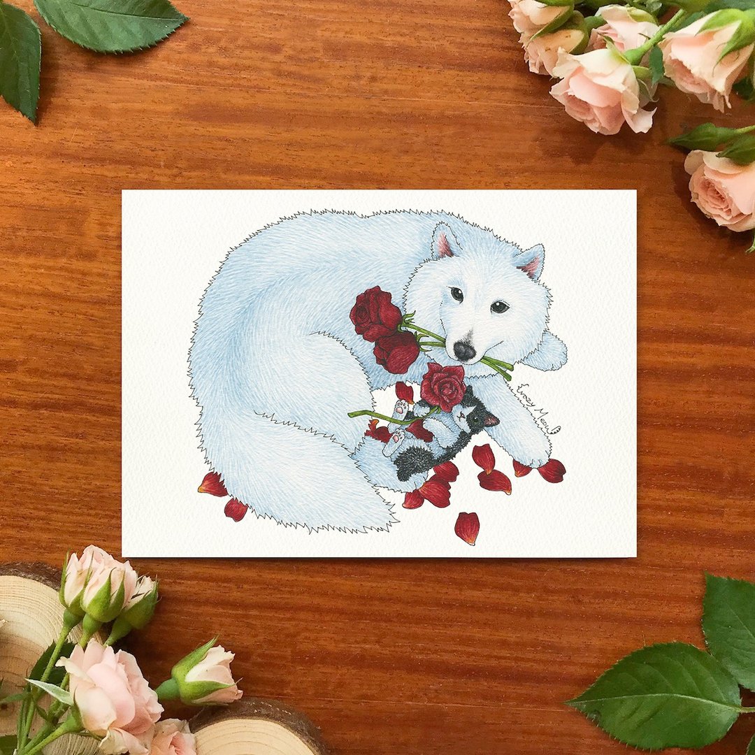 【猫疯子】明信片(24) - 卡片/明信片 - 纸 多色