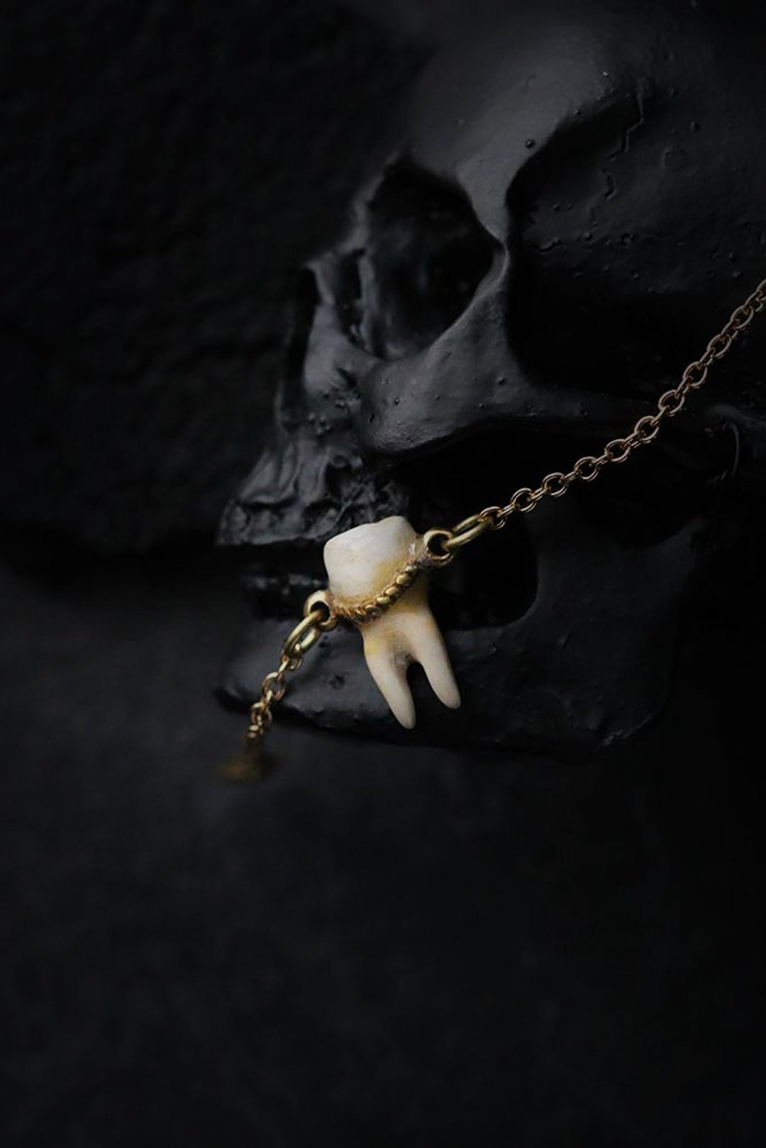 The Tooth charm bracelet Small Size - 手链/手环 - 其他金属 