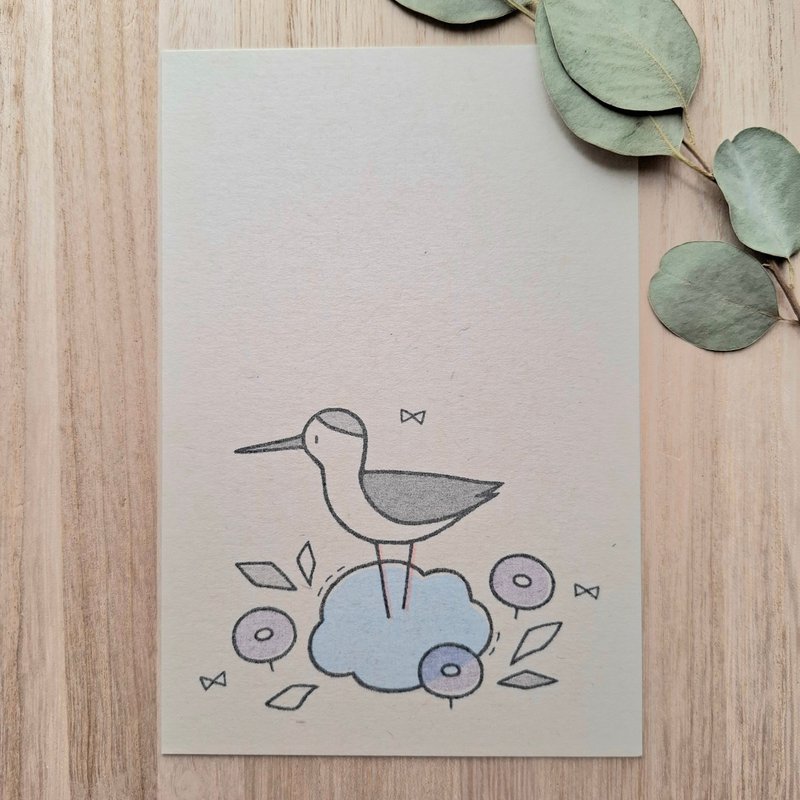明信片 弯嘴鹬 - 卡片/明信片 - 纸 