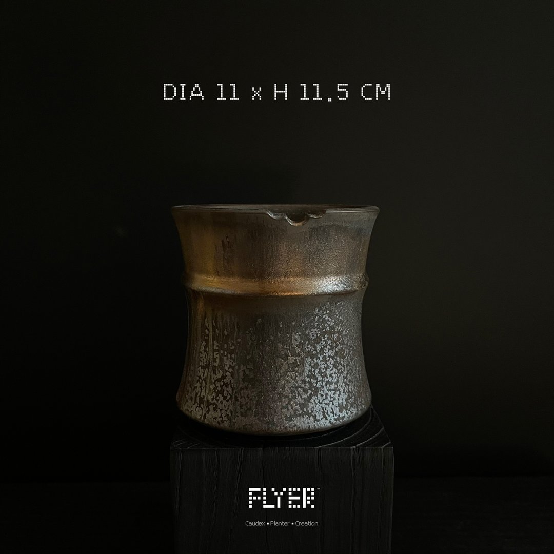 FLYER 块根多肉植物陶盆器 龙舌兰象牙宫象足漆树盆器 - 花瓶/陶器 - 陶 