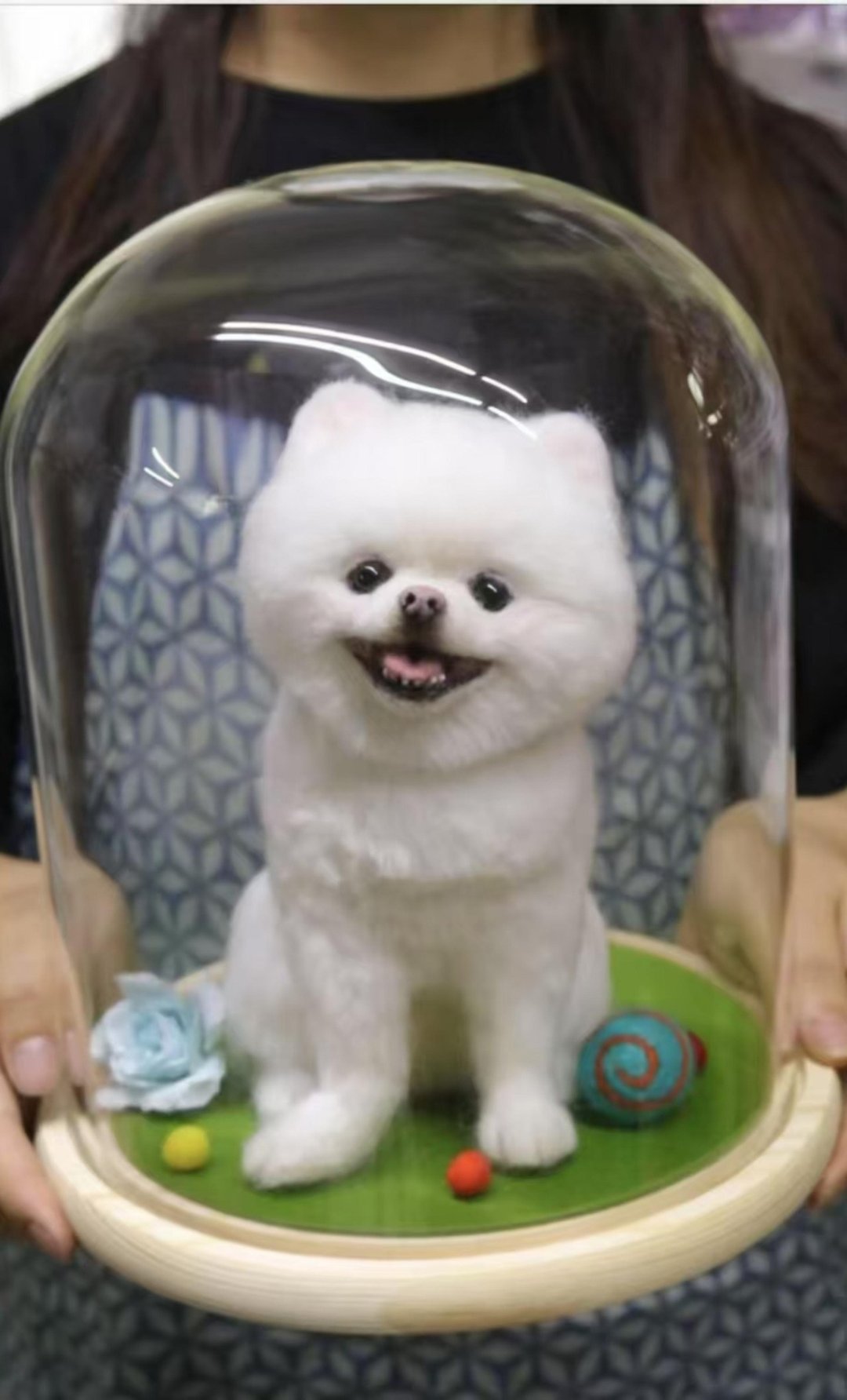定制 逼真犬 毛孩 宠物 博美犬 羊毛毡 娃娃 似颜绘 纪念 狗狗 u8 - 玩具 - 羊毛 多色