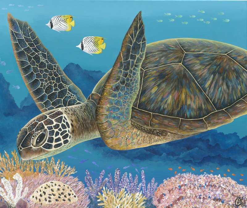 海龟绘画  慢 是它的力量 - 订制画像 - 棉．麻 