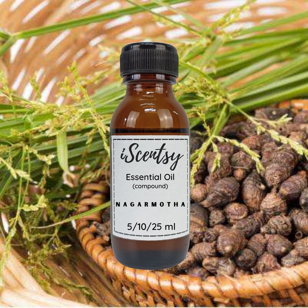 Thai Pure & Natural Essential Oil: Nagarmotha (Cypriol) Essential Oil 100% - 香薰/精油/线香 - 其他材质 