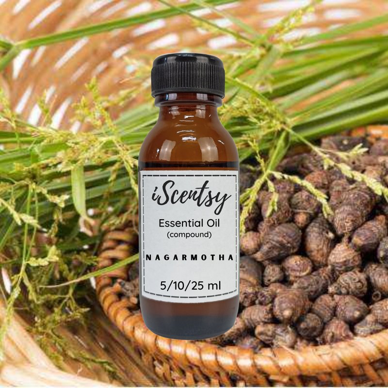 Thai Pure & Natural Essential Oil: Nagarmotha (Cypriol) Essential Oil 100% - 香薰/精油/线香 - 其他材质 