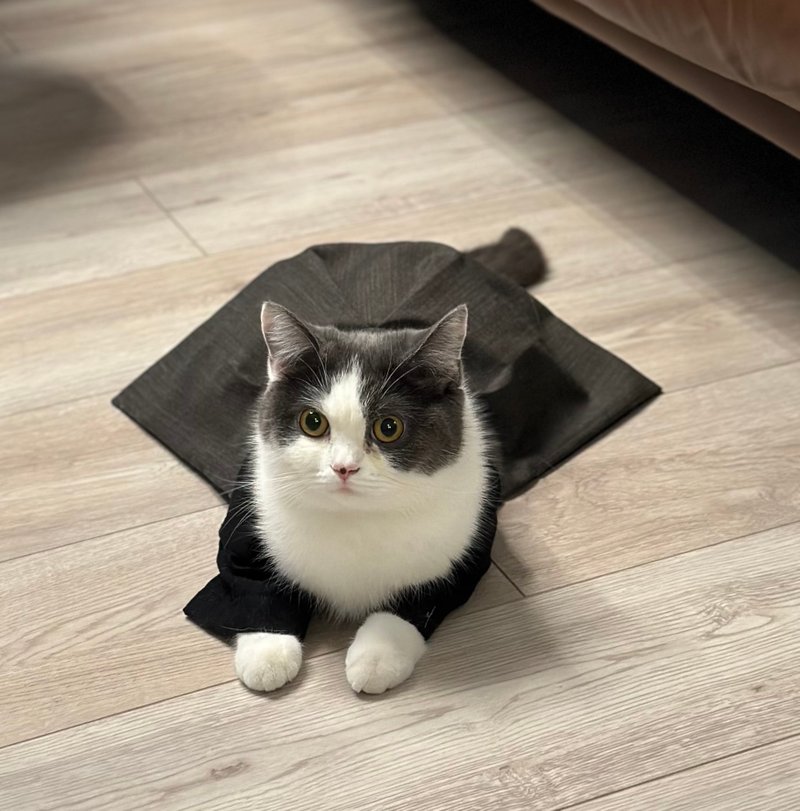 宠物和服套装-黑色上衣配灰色袴 - 衣/帽 - 棉．麻 黑色