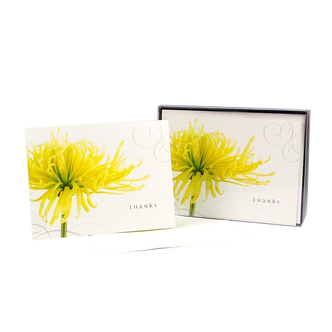 盒卡-芬芳10入【Hallmark-卡片 无限感谢/多用途】 - 卡片/明信片 - 纸 黄色