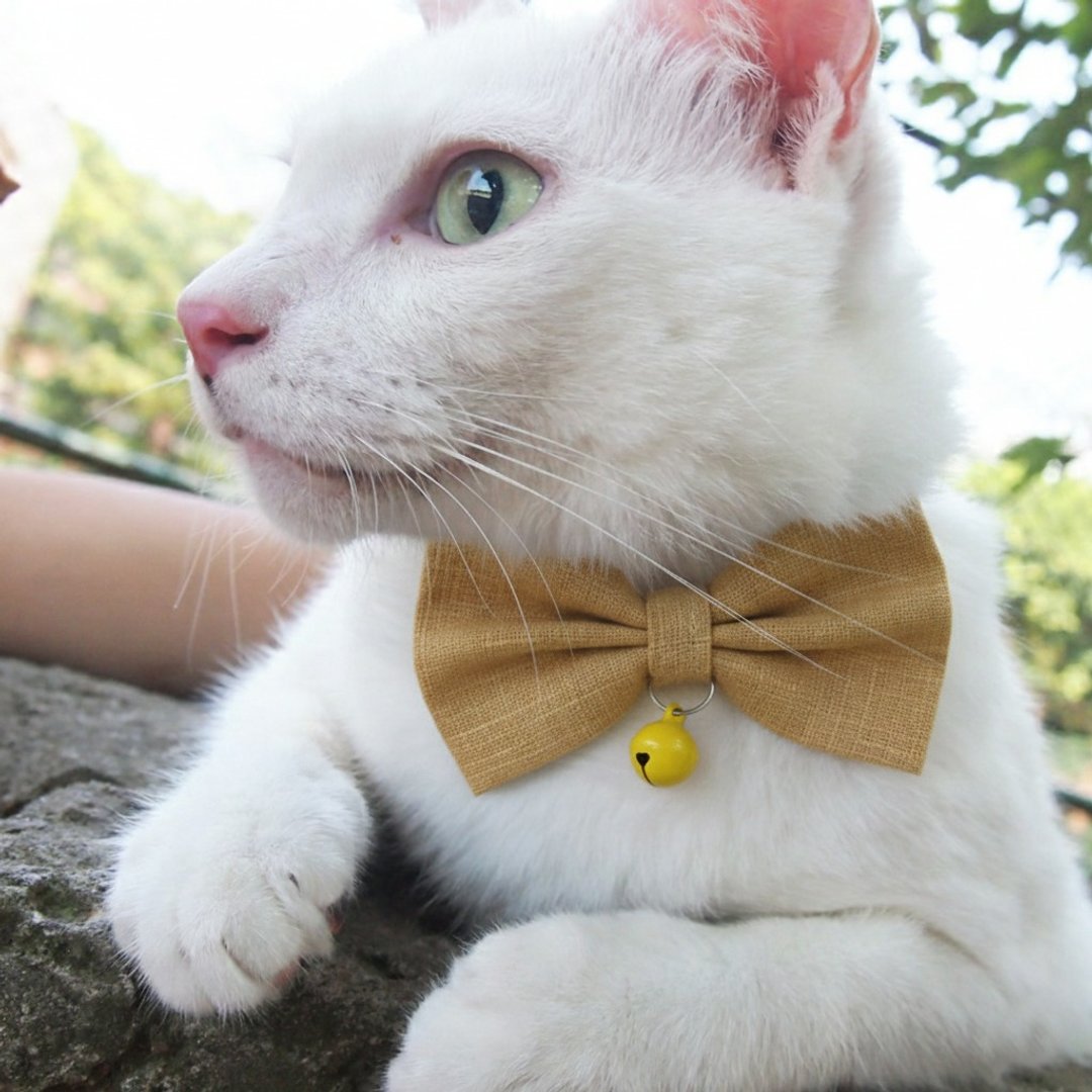 黄色 蝴蝶结宠物装饰项圈 猫咪 小型犬 迷你犬 - 项圈/牵绳 - 棉 黄色