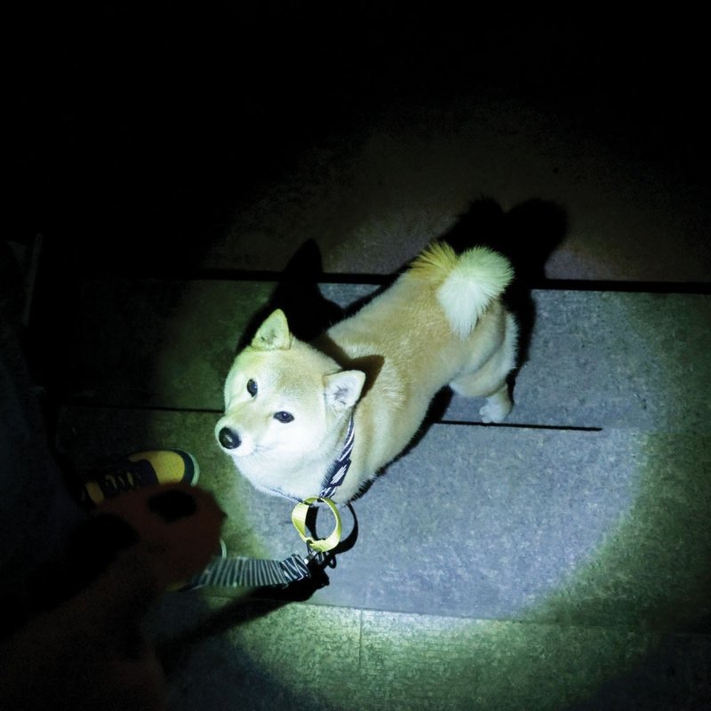 【MPETS】安全又方便! 犬用2合1 LED手电筒便便袋 - 其他 - 其他材质 多色