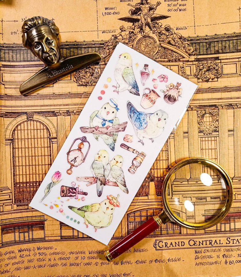 KR492童真鸚鵡Fairytale parrot/  轉印貼 - 贴纸 - 塑料 