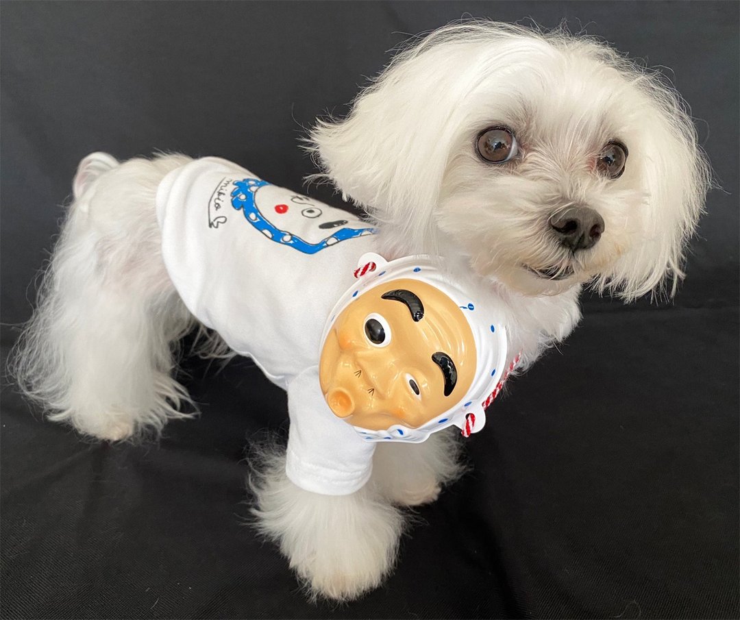 Hyottoko mask for pets Hyottoko Dog's T-shirt Happy Combo - 衣/帽 - 棉 白色