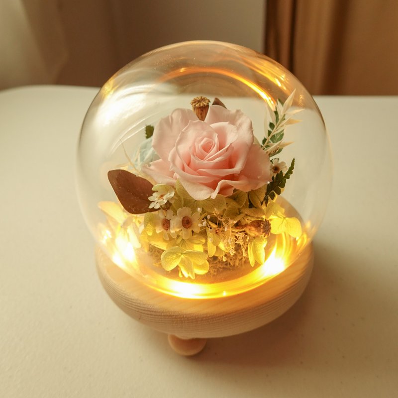 双玫瑰夜灯玻璃盅-蓝粉色 - 干燥花/捧花 - 植物．花 蓝色